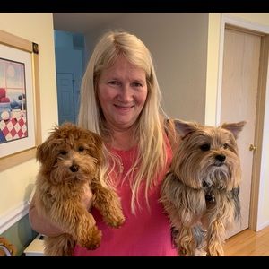 Meet your Posher, Joy